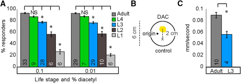 Figure 1-1.