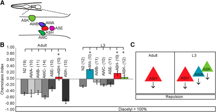 Figure 2-1.