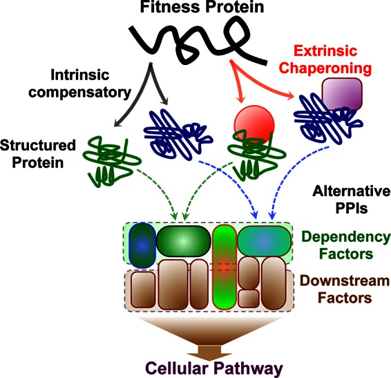 FIG 3