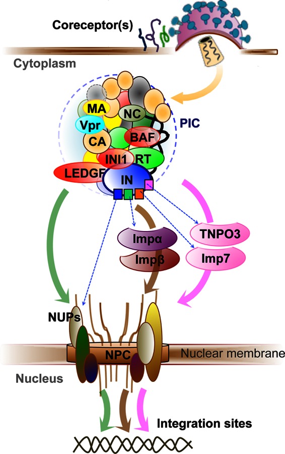 FIG 1