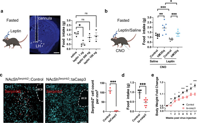 Fig. 6: