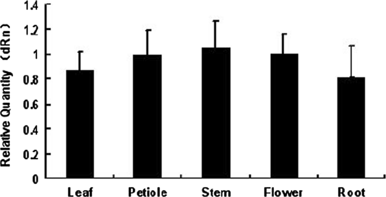 Fig. 2