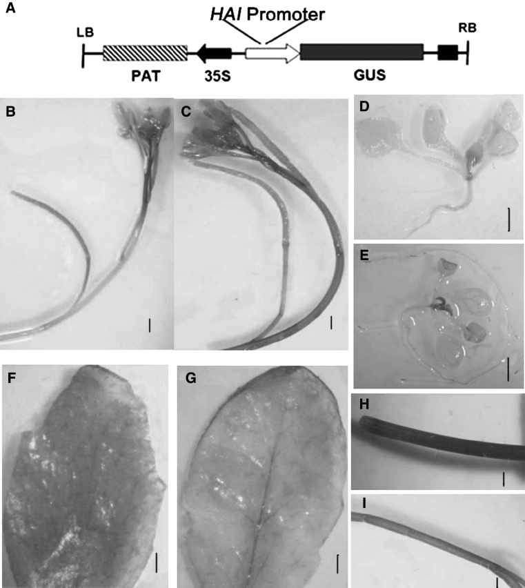 Fig. 9