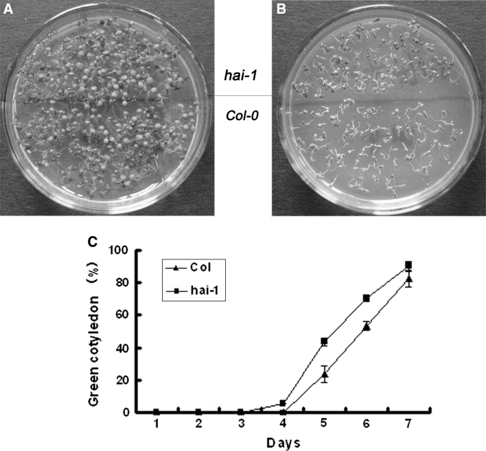 Fig. 6