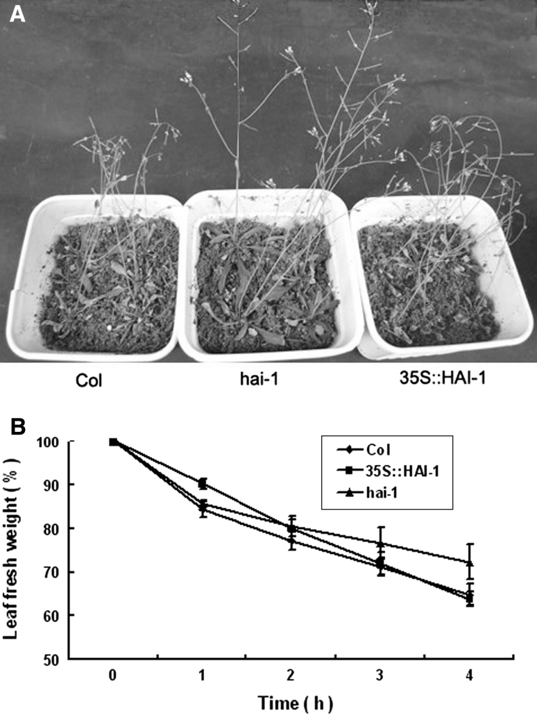 Fig. 8