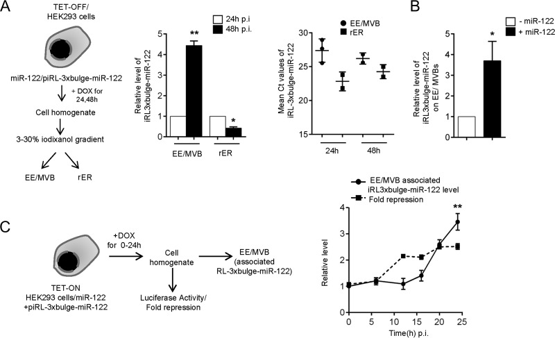 FIG 2