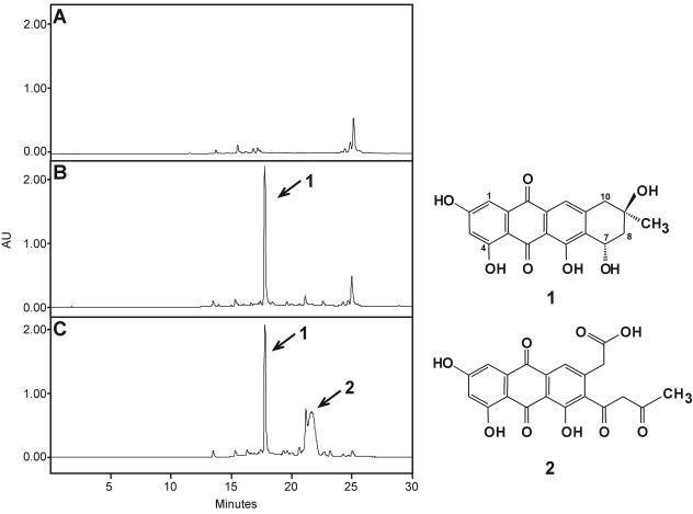 FIG. 3.