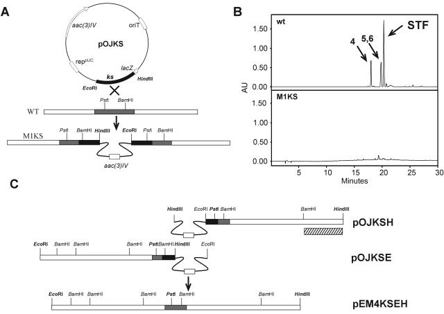 FIG. 2.