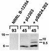 FIG. 6.