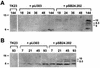 FIG. 5.