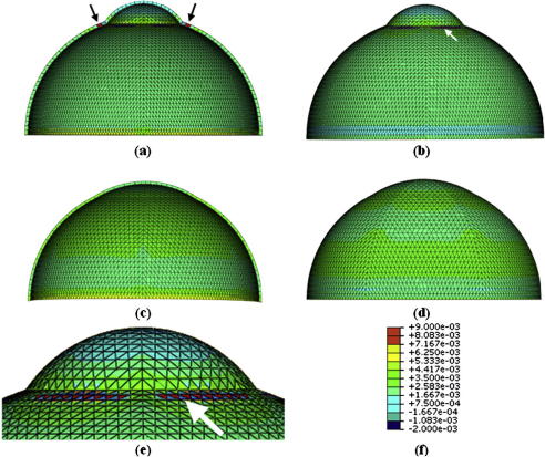 Fig. 10