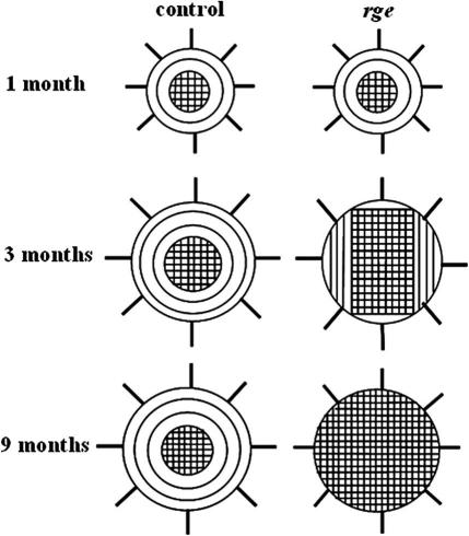 Fig. 11