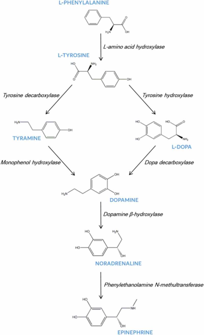 Figure 2.