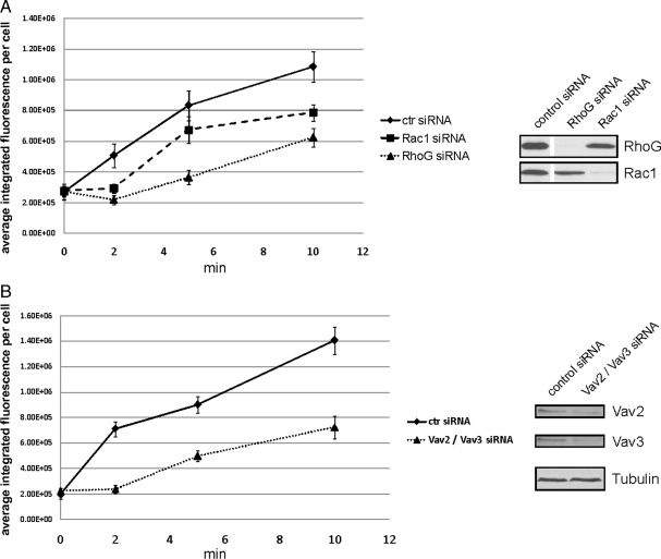 Figure 10.