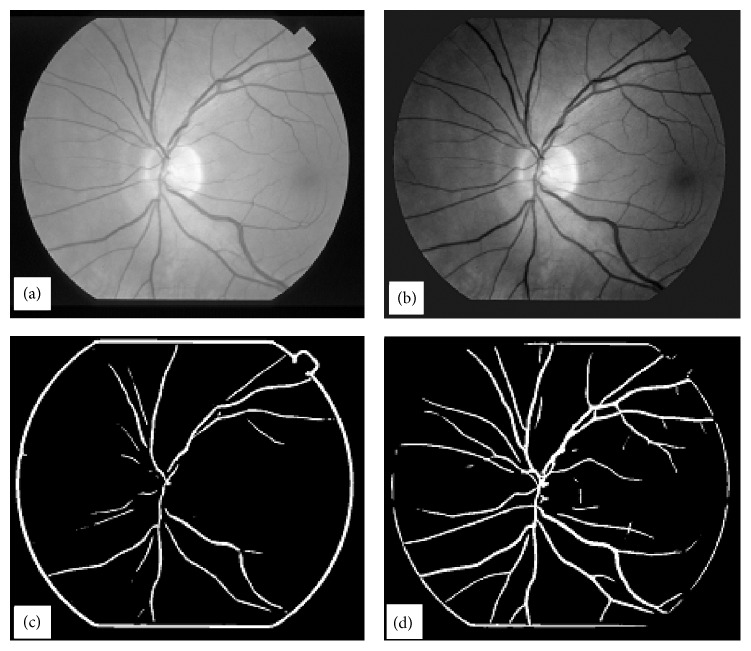 Figure 13