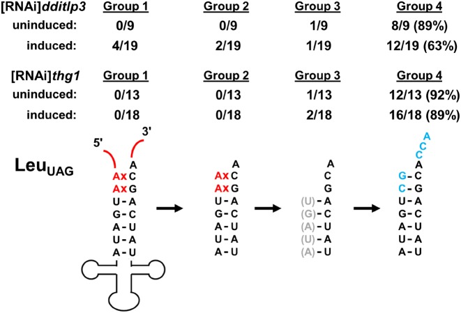 Figure 6.