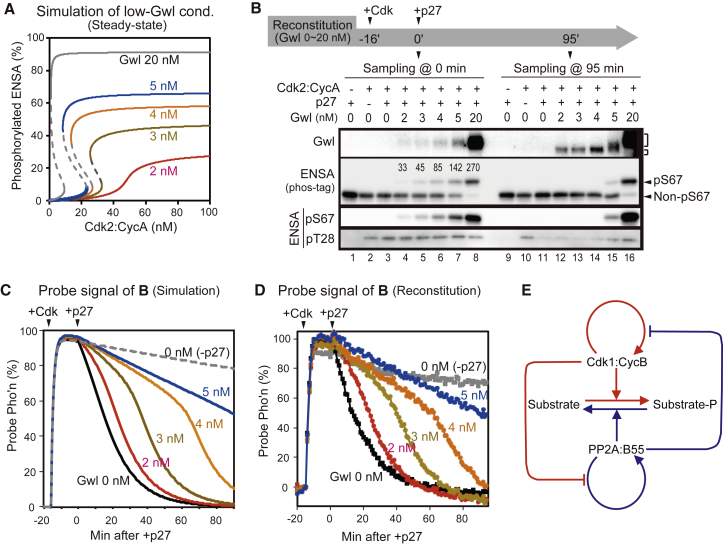 Figure 4