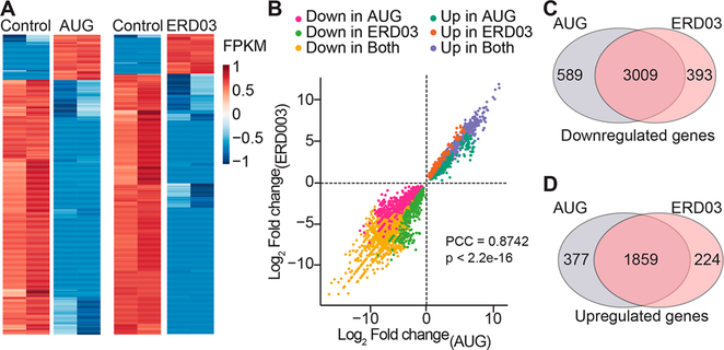 Figure 10.