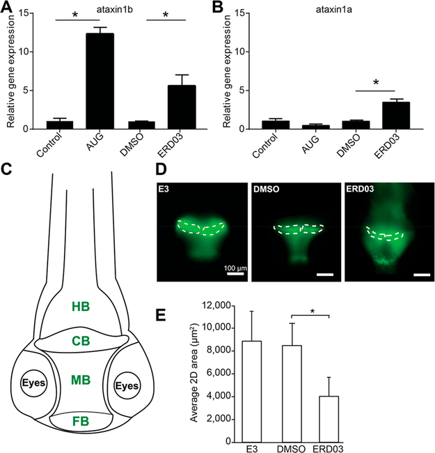 Figure 11.