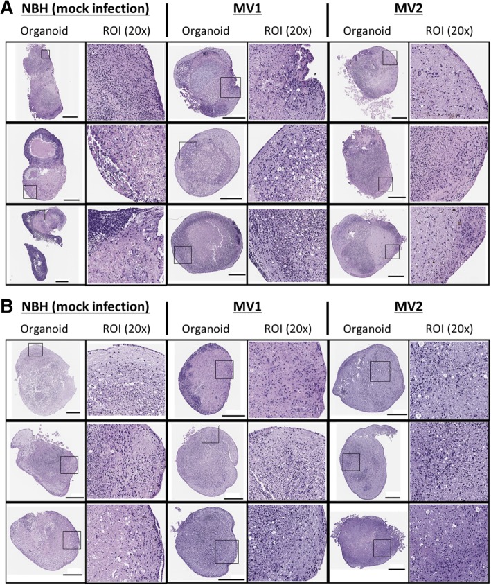 Fig. 5