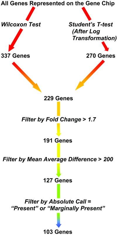 Fig 3.