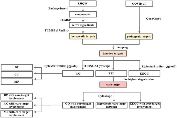 Flow Chart 1