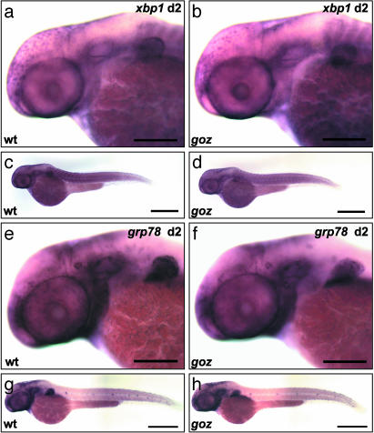 Fig. 9.