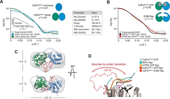 FIGURE 4.