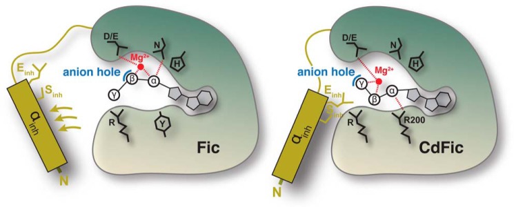 FIGURE 7.