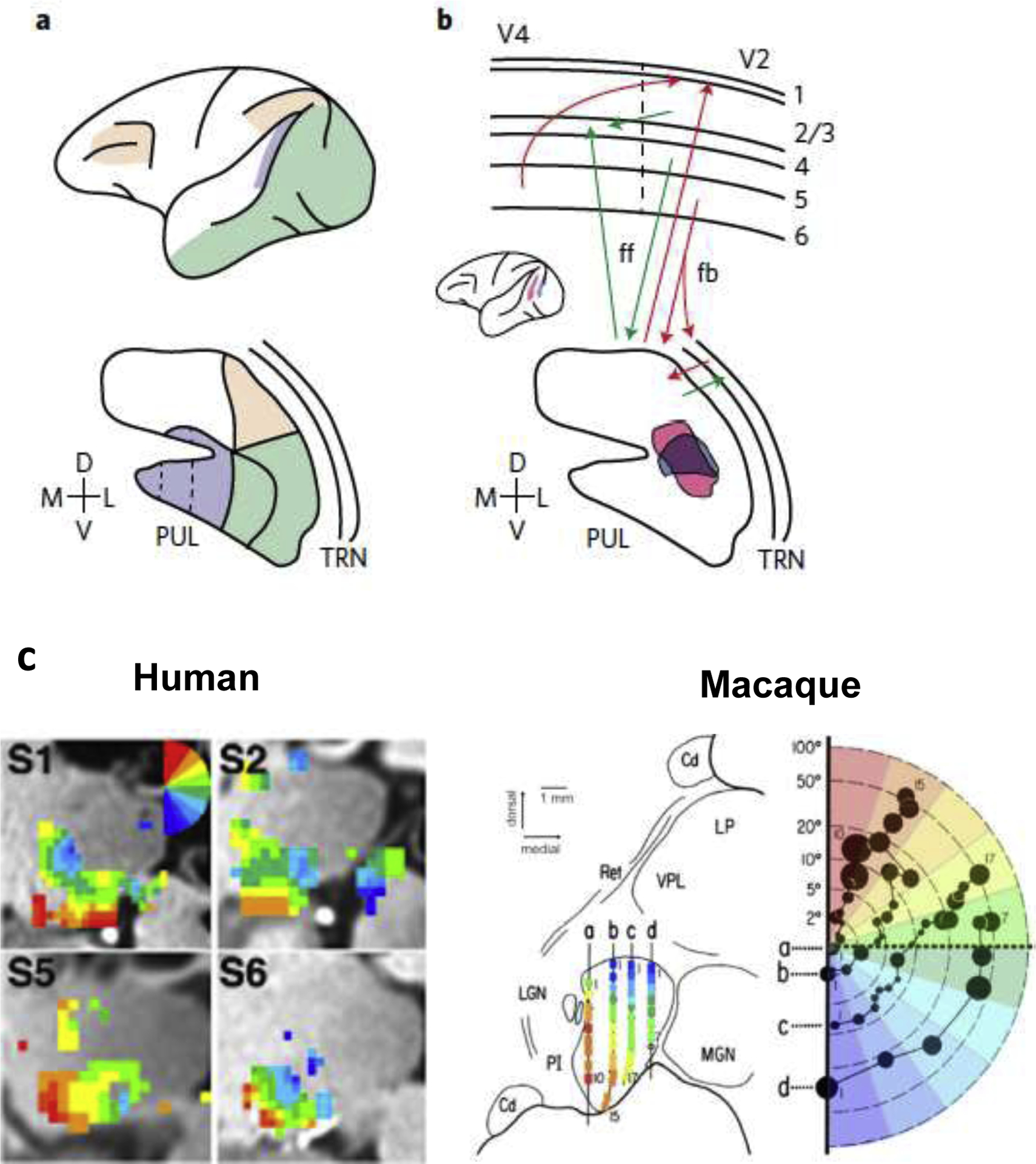 Figure 1: