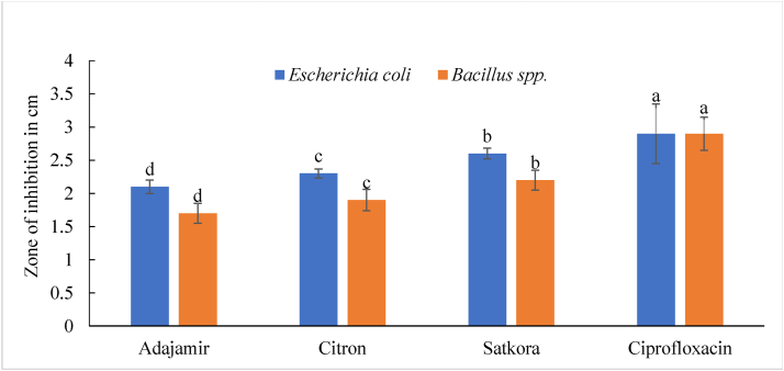 Figure 4