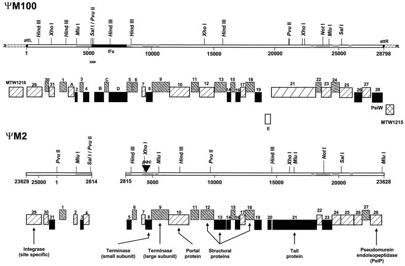 FIG. 1