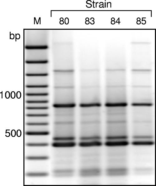 FIG. 6.