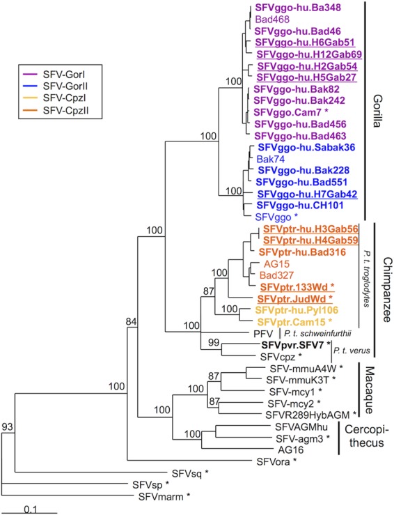 FIG 2