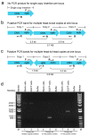 Figure 1—figure supplement 2.
