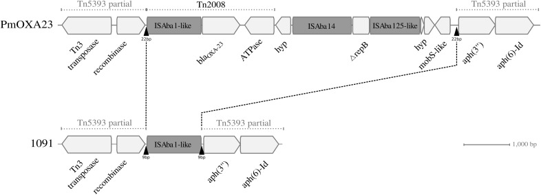 FIG 2