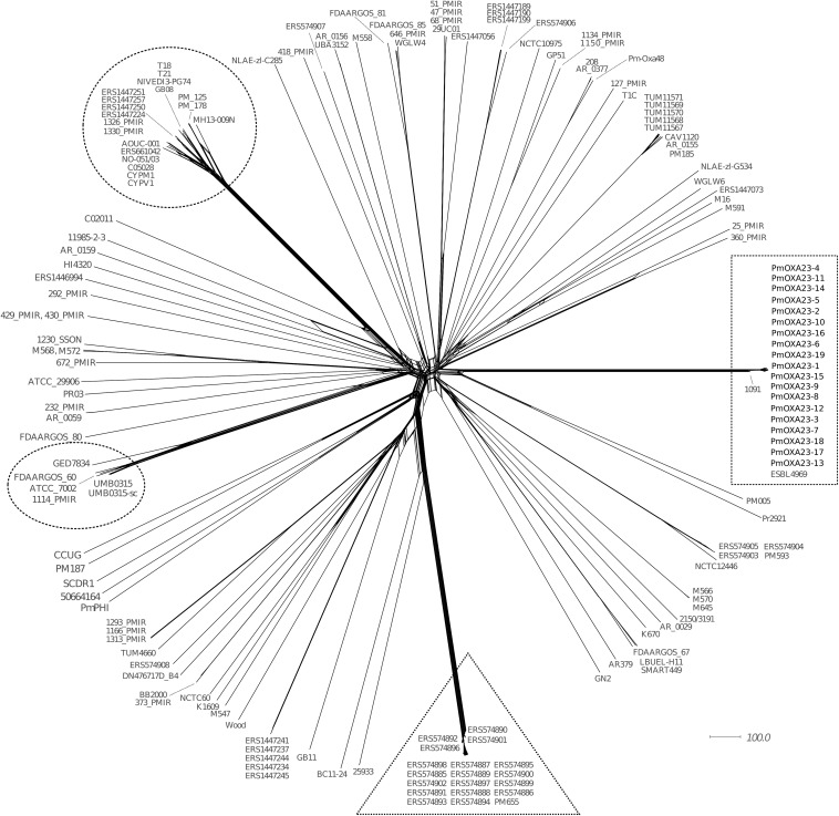 FIG 1