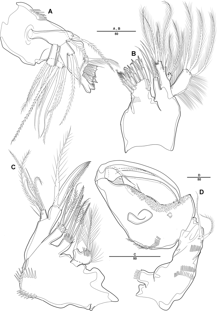 Figure 11.