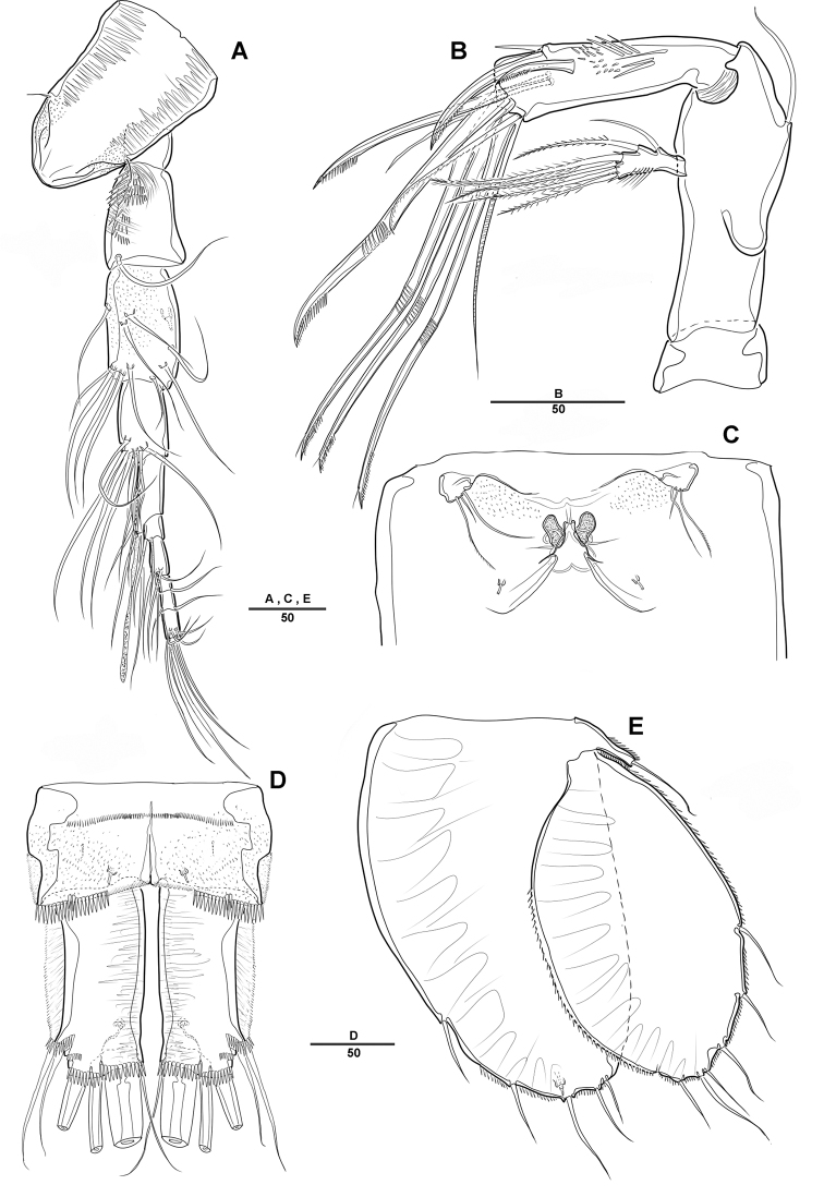 Figure 10.