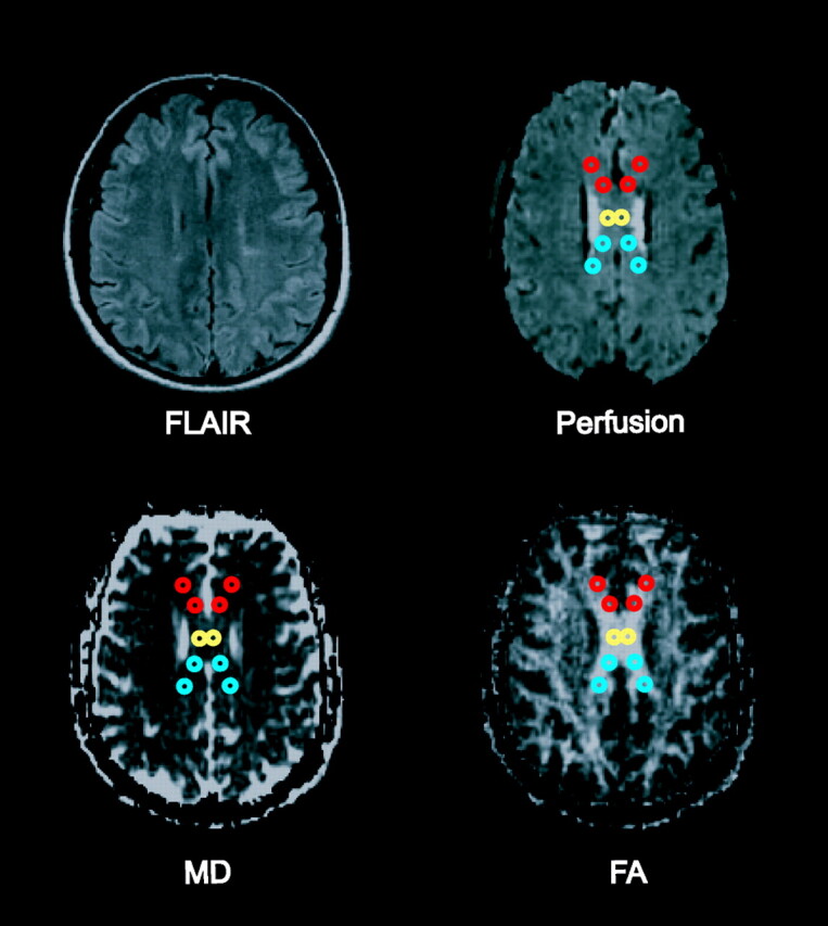 Fig 1.