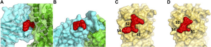 FIGURE 1