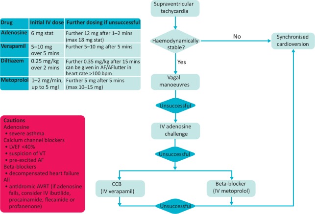 Fig 4.