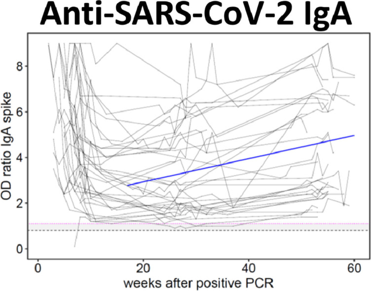 Image, graphical abstract