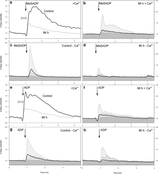 Fig. 2 a–h