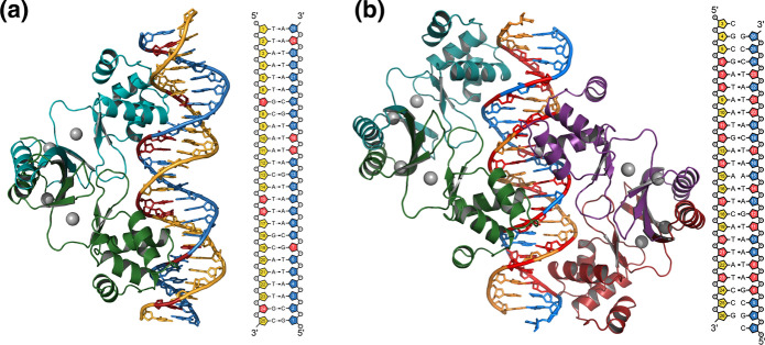 Fig. 7