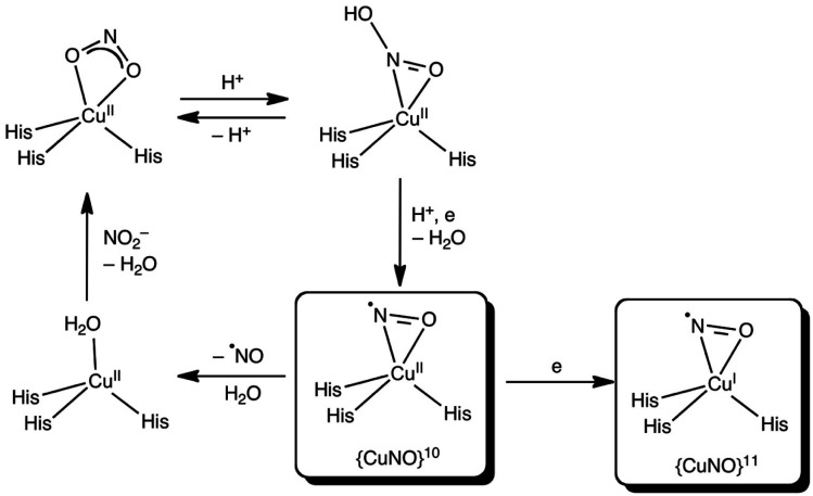 Scheme 2