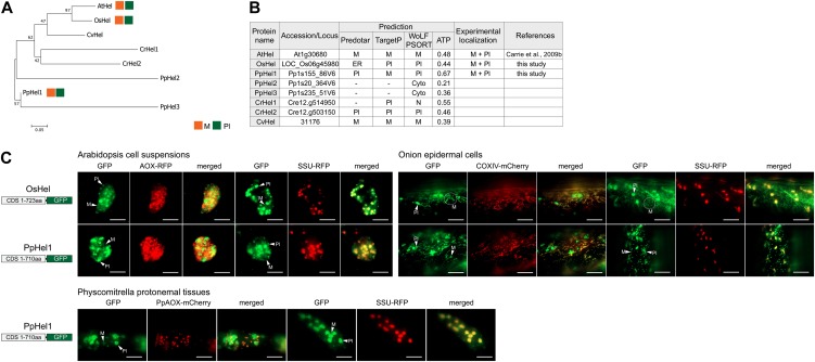 Figure 3.