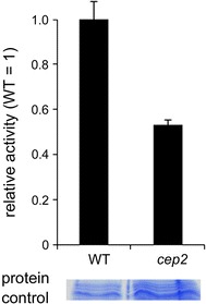 Fig. 8