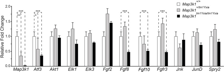 Fig. 7.