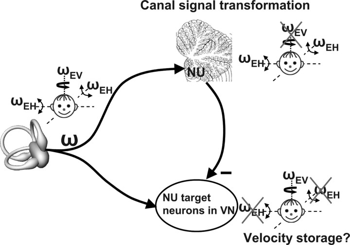 Figure 12.